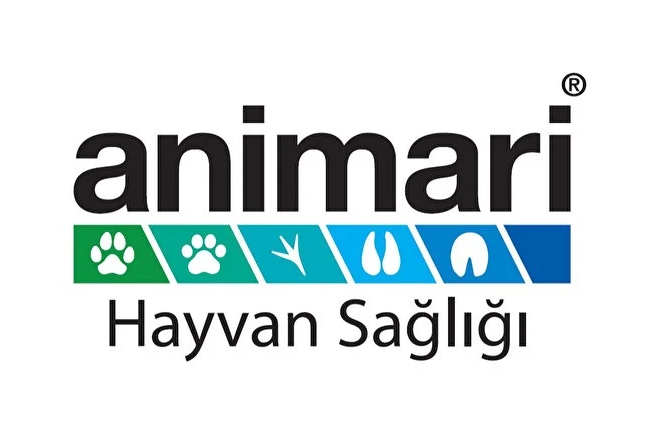 Animari